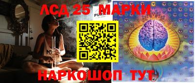 индика Ставрополь