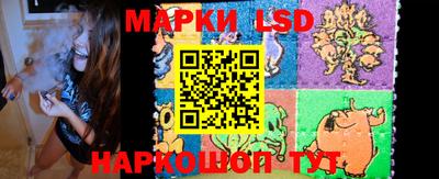 индика Ставрополь