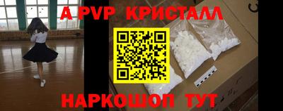 индика Ставрополь