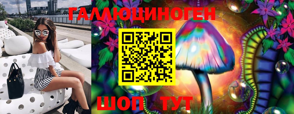 Нововоронеж  дарнет шоп  Вход с VPN  Псилоцибиновые грибы Psilocybine cubensis 
